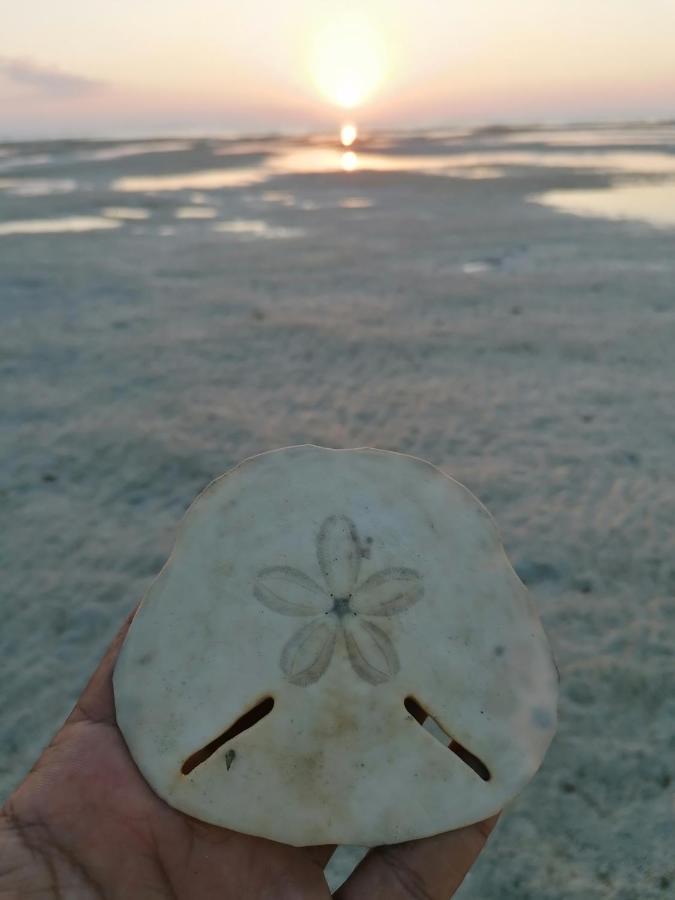 Masirah Beach Camp Al Qārin Esterno foto