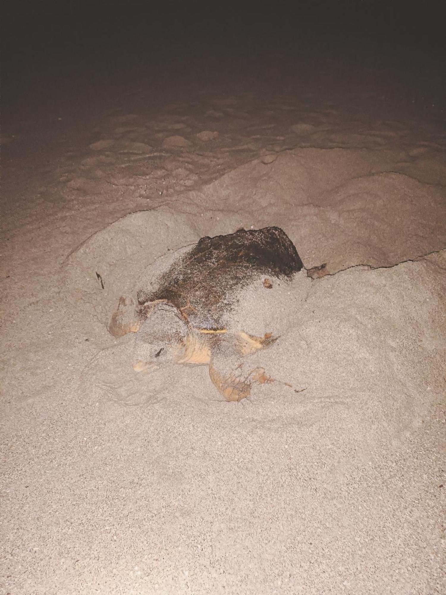 Masirah Beach Camp Al Qārin Esterno foto